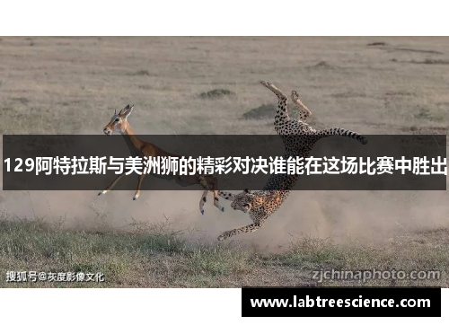 129阿特拉斯与美洲狮的精彩对决谁能在这场比赛中胜出 129阿特拉斯与美洲狮的精彩对决谁能在这场比赛中胜出