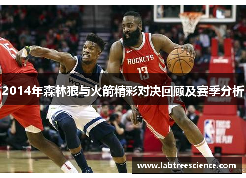 2014年森林狼与火箭精彩对决回顾及赛季分析 2014年森林狼与火箭精彩对决回顾及赛季分析