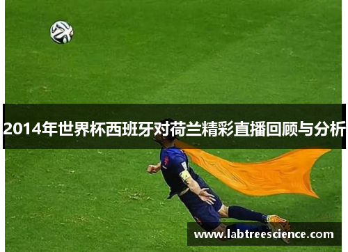 2014年世界杯西班牙对荷兰精彩直播回顾与分析 2014年世界杯西班牙对荷兰精彩直播回顾与分析