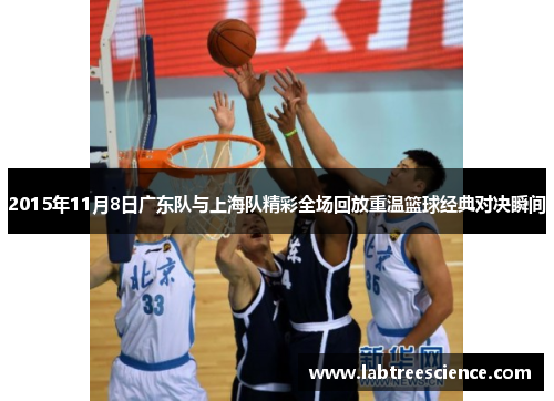 2015年11月8日广东队与上海队精彩全场回放重温篮球经典对决瞬间 2015年11月8日广东队与上海队精彩全场回放重温篮球经典对决瞬间