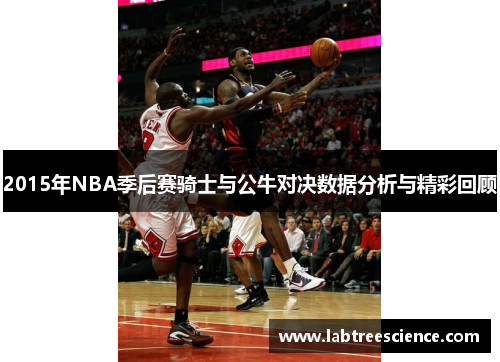 2015年NBA季后赛骑士与公牛对决数据分析与精彩回顾 2015年NBA季后赛骑士与公牛对决数据分析与精彩回顾