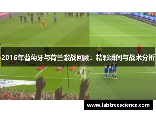 2016年葡萄牙与荷兰激战回顾:精彩瞬间与战术分析 2016年葡萄牙与荷兰激战回顾:精彩瞬间与战术分析