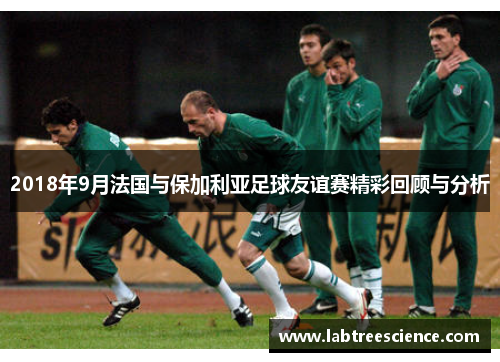 2018年9月法国与保加利亚足球友谊赛精彩回顾与分析 2018年9月法国与保加利亚足球友谊赛精彩回顾与分析