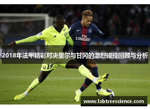 2018年法甲精彩对决里尔与甘冈的激烈碰撞回顾与分析 2018年法甲精彩对决里尔与甘冈的激烈碰撞回顾与分析