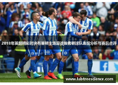 2018年英超精彩对决布莱顿主场迎战埃弗顿球队表现分析与赛后点评 2018年英超精彩对决布莱顿主场迎战埃弗顿球队表现分析与赛后点评