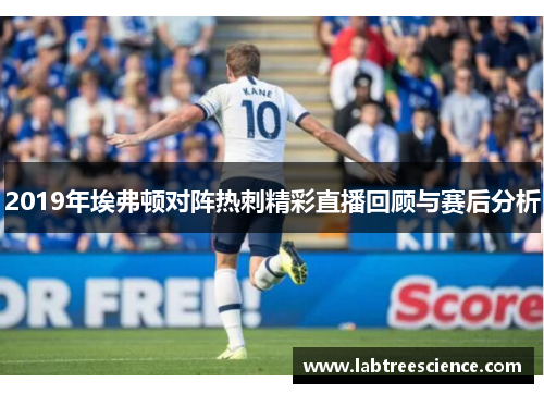 2019年埃弗顿对阵热刺精彩直播回顾与赛后分析 2019年埃弗顿对阵热刺精彩直播回顾与赛后分析