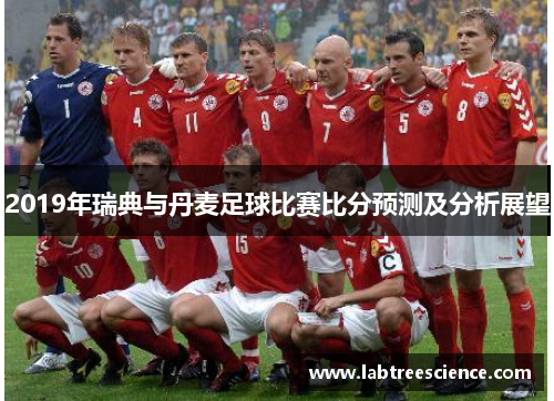 2019年瑞典与丹麦足球比赛比分预测及分析展望 2019年瑞典与丹麦足球比赛比分预测及分析展望