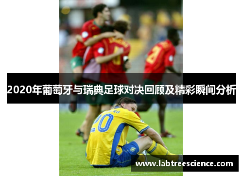 2020年葡萄牙与瑞典足球对决回顾及精彩瞬间分析 2020年葡萄牙与瑞典足球对决回顾及精彩瞬间分析