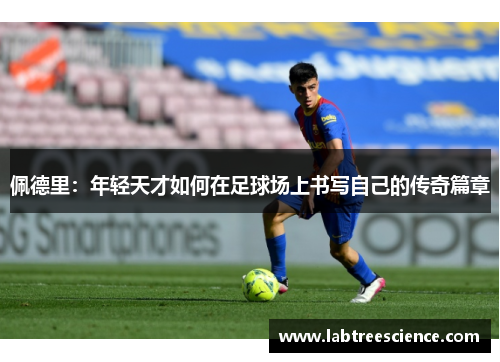 佩德里:年轻天才如何在足球场上书写自己的传奇篇章 佩德里:年轻天才如何在足球场上书写自己的传奇篇章