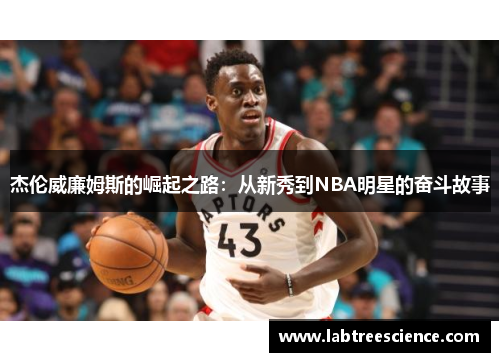杰伦威廉姆斯的崛起之路：从新秀到NBA明星的奋斗故事