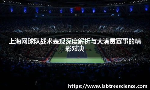 上海网球队战术表现深度解析与大满贯赛事的精彩对决