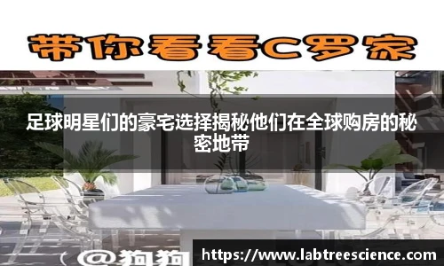 3003新葡的京集团