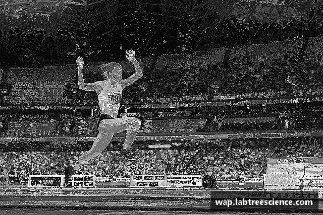 介绍新葡的京集团